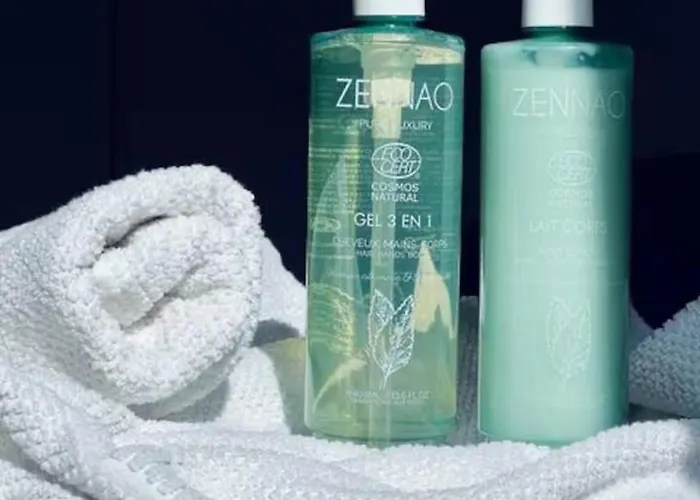 French Klss - By Prim0 C0nciergerie Clermont-Ferrand